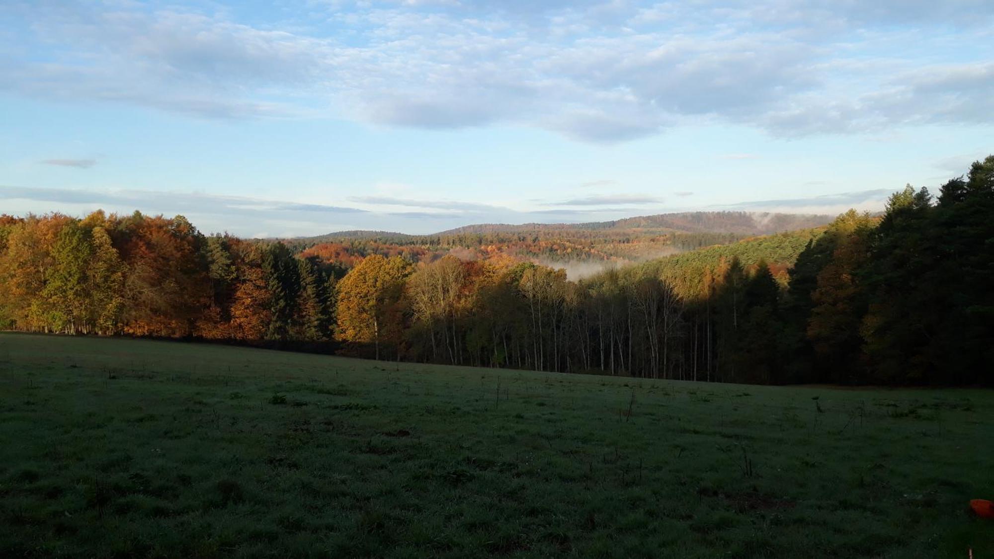 Ellernhof Im Spessart Villa Stadtprozelten Екстериор снимка