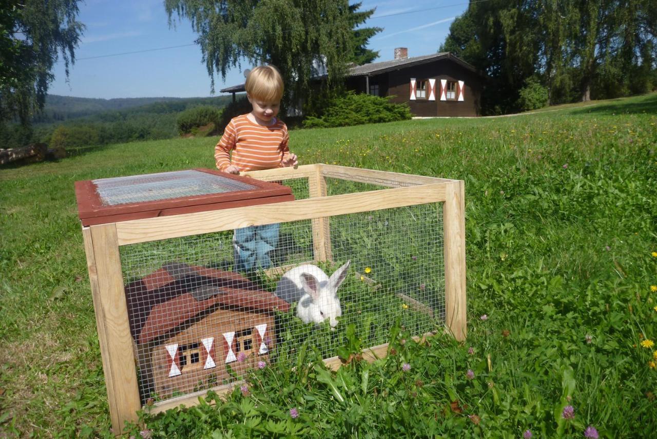 Ellernhof Im Spessart Villa Stadtprozelten Стая снимка